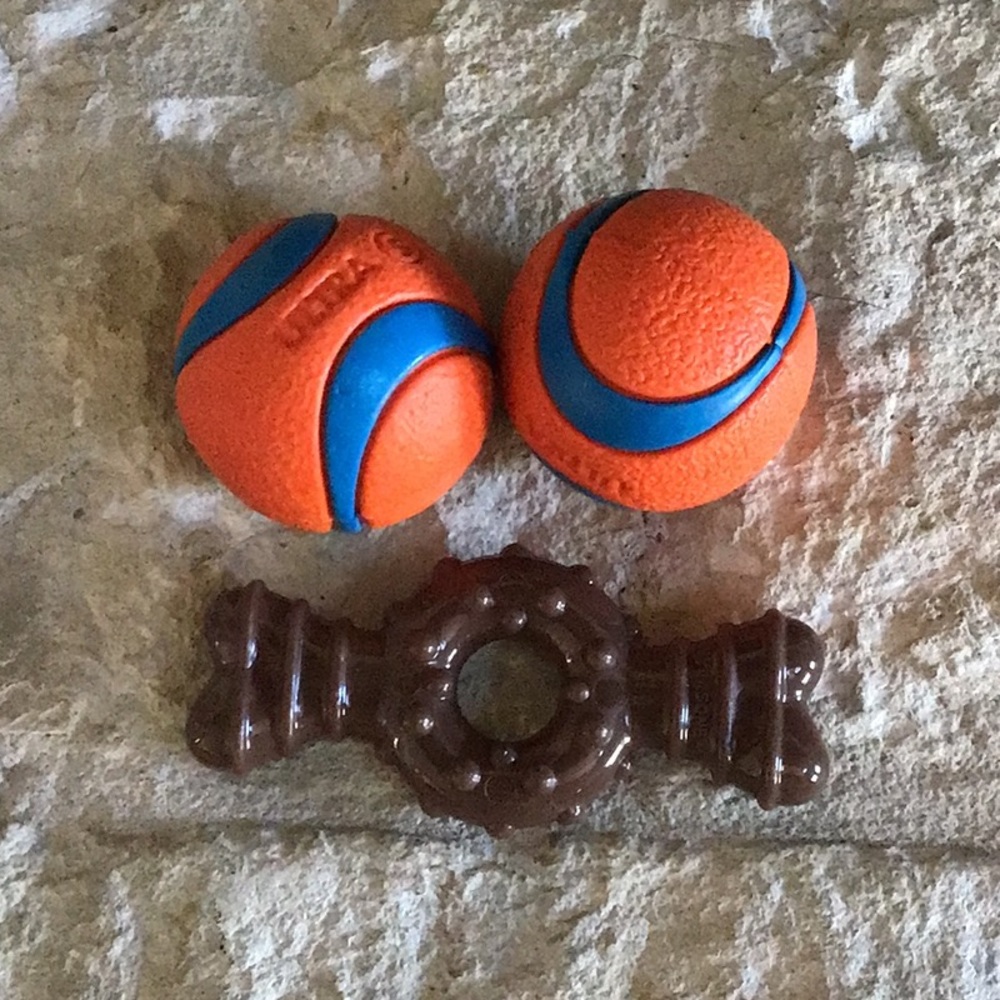 🐾 Chuckit Ultra Ball “Small” 2-Pack and Nylon Bone 🐾